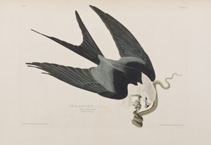 Ilustración de 