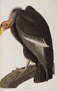 Ilustración de 