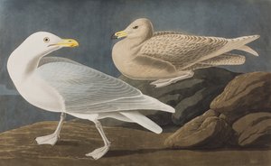 Ilustración de 