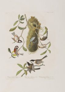 Ilustración de 