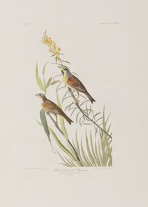 Ilustración de 