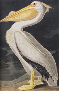 Ilustración de 