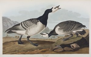 Ilustración de 