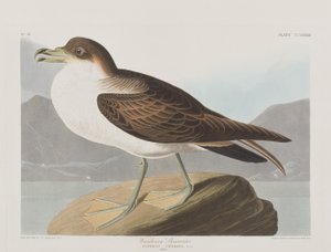 Ilustración de 