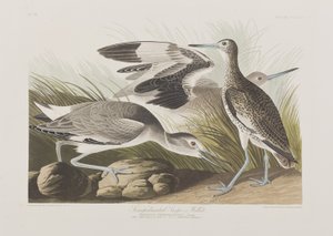 Ilustración de 