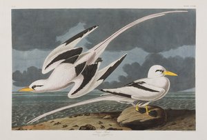 Ilustración de 