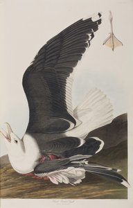 Ilustración de 