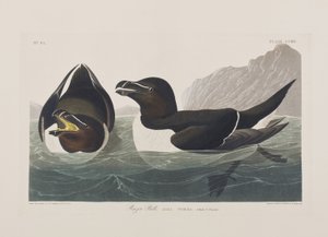 Ilustración de 