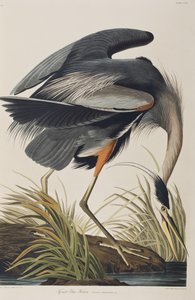 Ilustración de 