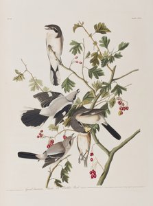 Ilustración de 