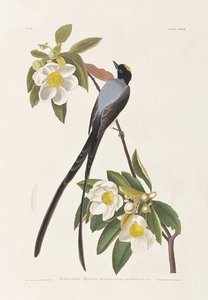 Ilustración de 