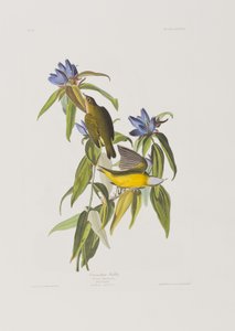 Ilustración de 