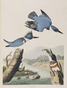 Ilustración de 