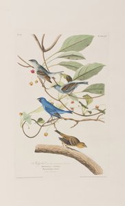 Ilustración de 