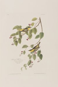 Ilustración de 