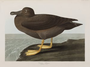Ilustración de 