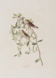 Ilustración de 