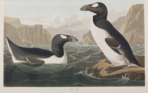 Ilustración de 
