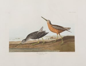 Ilustración de 