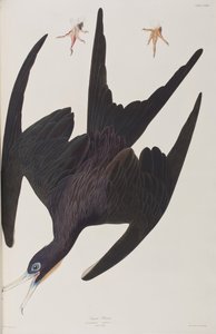 Ilustración de 
