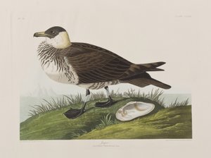 Ilustración de 