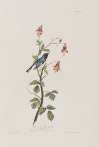 Ilustración de 