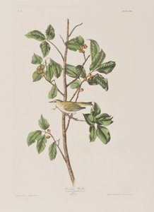 Ilustración de 