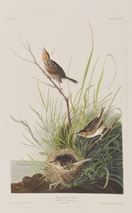 Ilustración de 