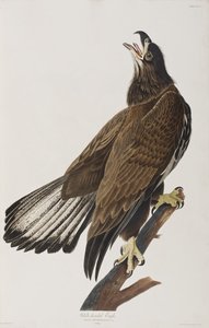 Ilustración de 