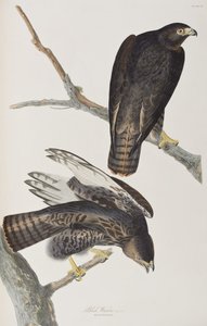 Ilustración de 