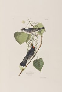 Ilustración de 