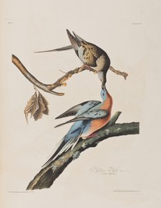 Ilustración de 