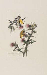 Ilustración de 