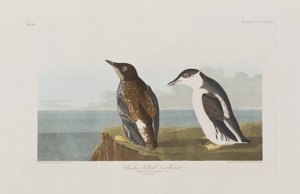 Ilustración de 