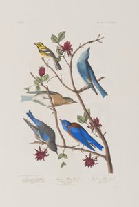 Ilustración de 