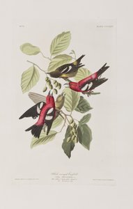 Ilustración de 