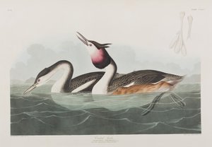 Ilustración de 