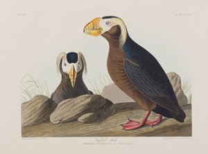 Ilustración de 