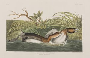 Ilustración de 