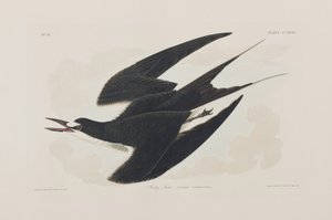 Ilustración de 