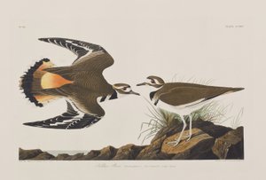 Ilustración de 