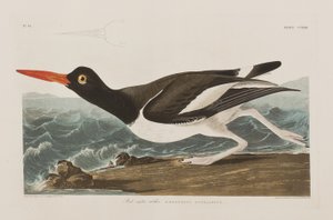Ilustración de 