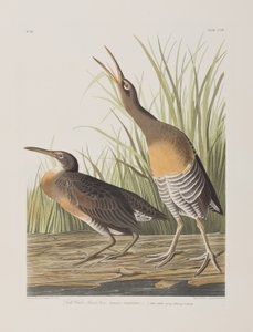 Ilustración de 