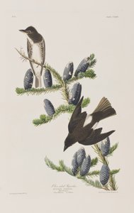 Ilustración de 