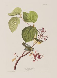 Ilustración de 