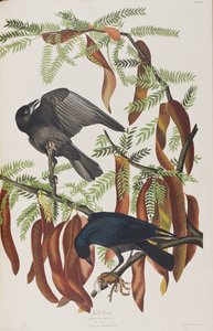 Ilustración de 
