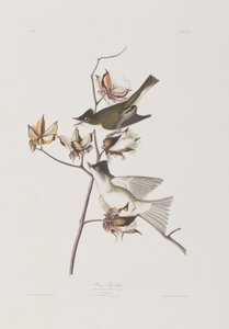 Ilustración de 