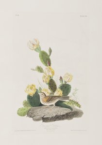 Ilustración de 