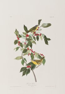 Ilustración de 