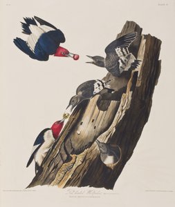 Ilustración de 